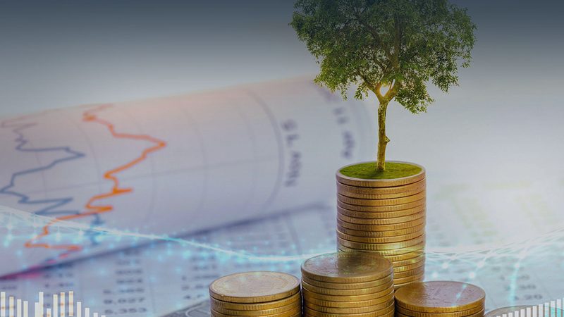 制造业上市辅导券商对比：揭秘选择之道